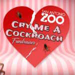 zoo scarafaggi San Valentino