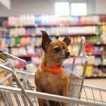 cane supermercato carrello