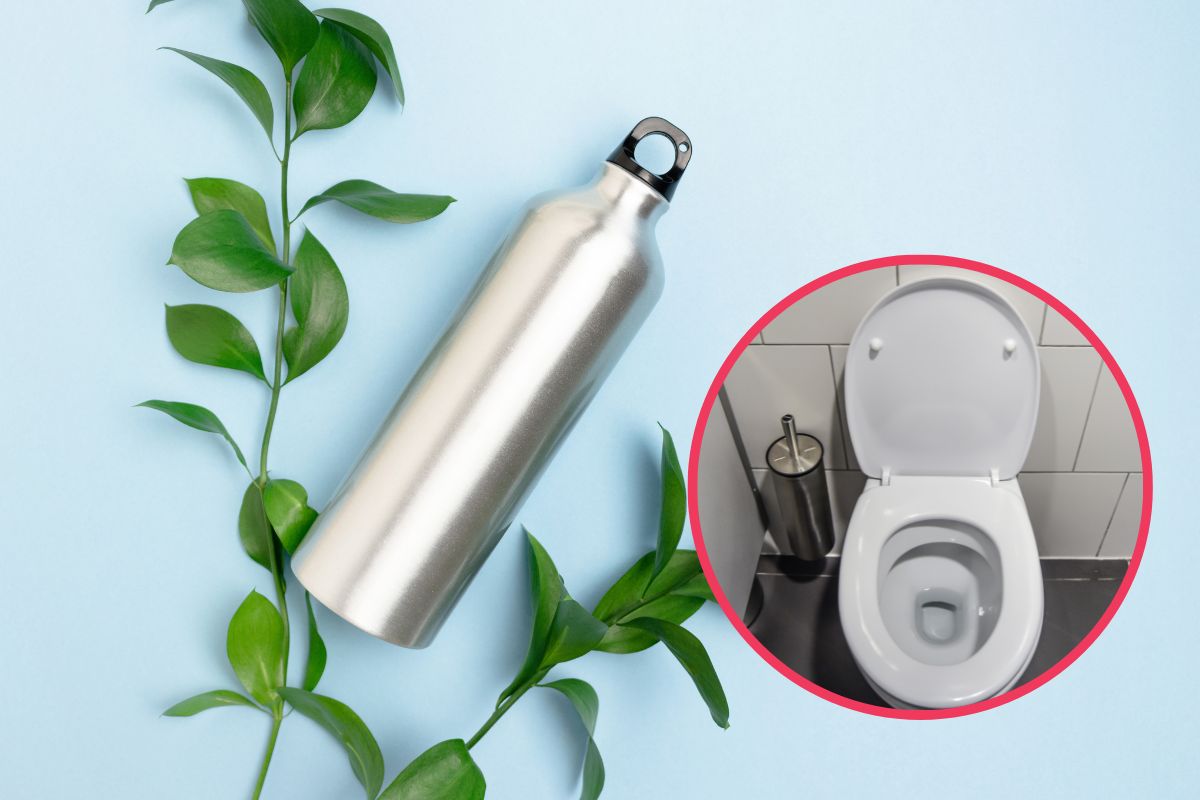 Nella tua borraccia riutilizzabile potrebbero esserci più batteri che sul  WC: lo studio shock - greenMe