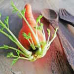coltivare carote scarti