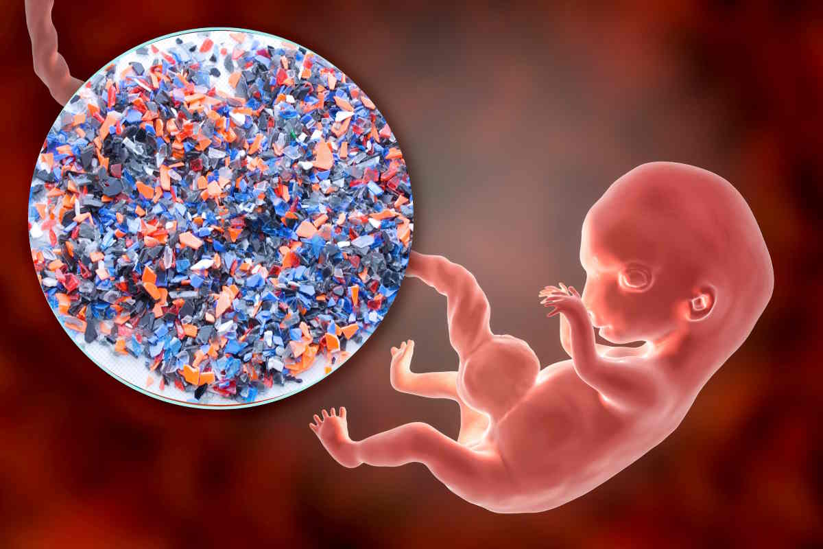 microplastiche feto