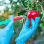 pesticidi nella frutta