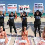 peta proteste carne
