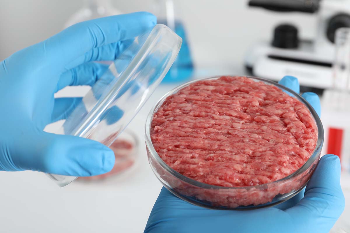 carne coltivata laboratorio