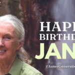 compleanno jane goodall