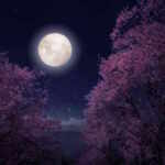 eclissi penombrale luna dei fiori 5 maggio 2023