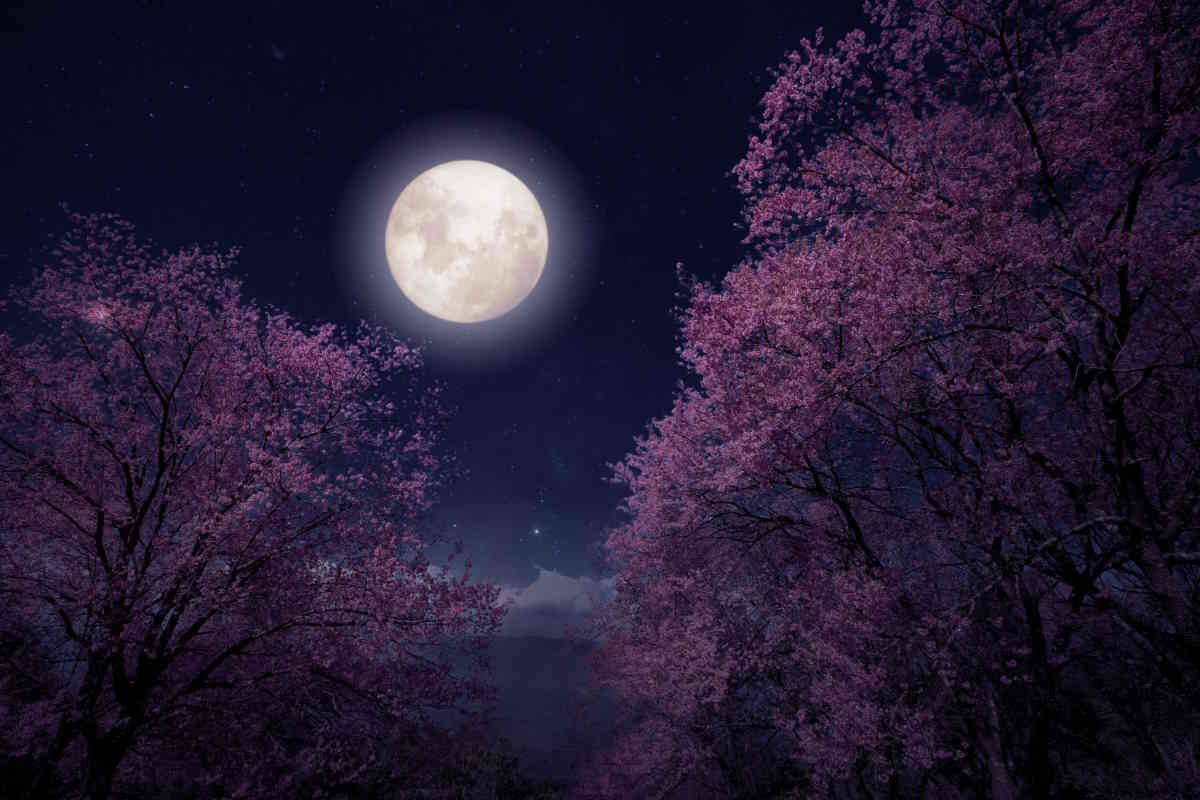 eclissi penombrale luna dei fiori 5 maggio 2023