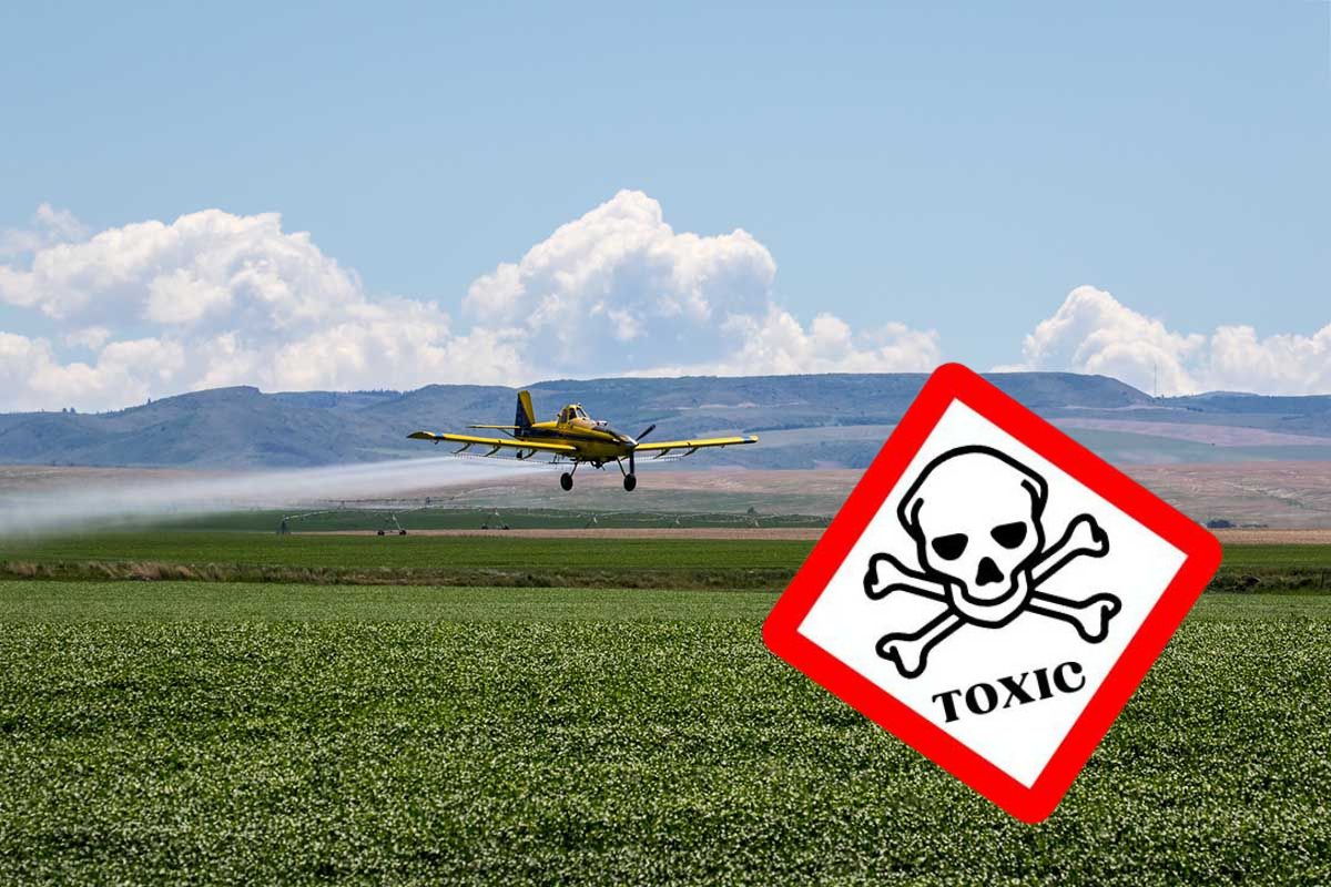 pesticidi tossici spruzzati da aerei