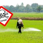 pesticidi tossici