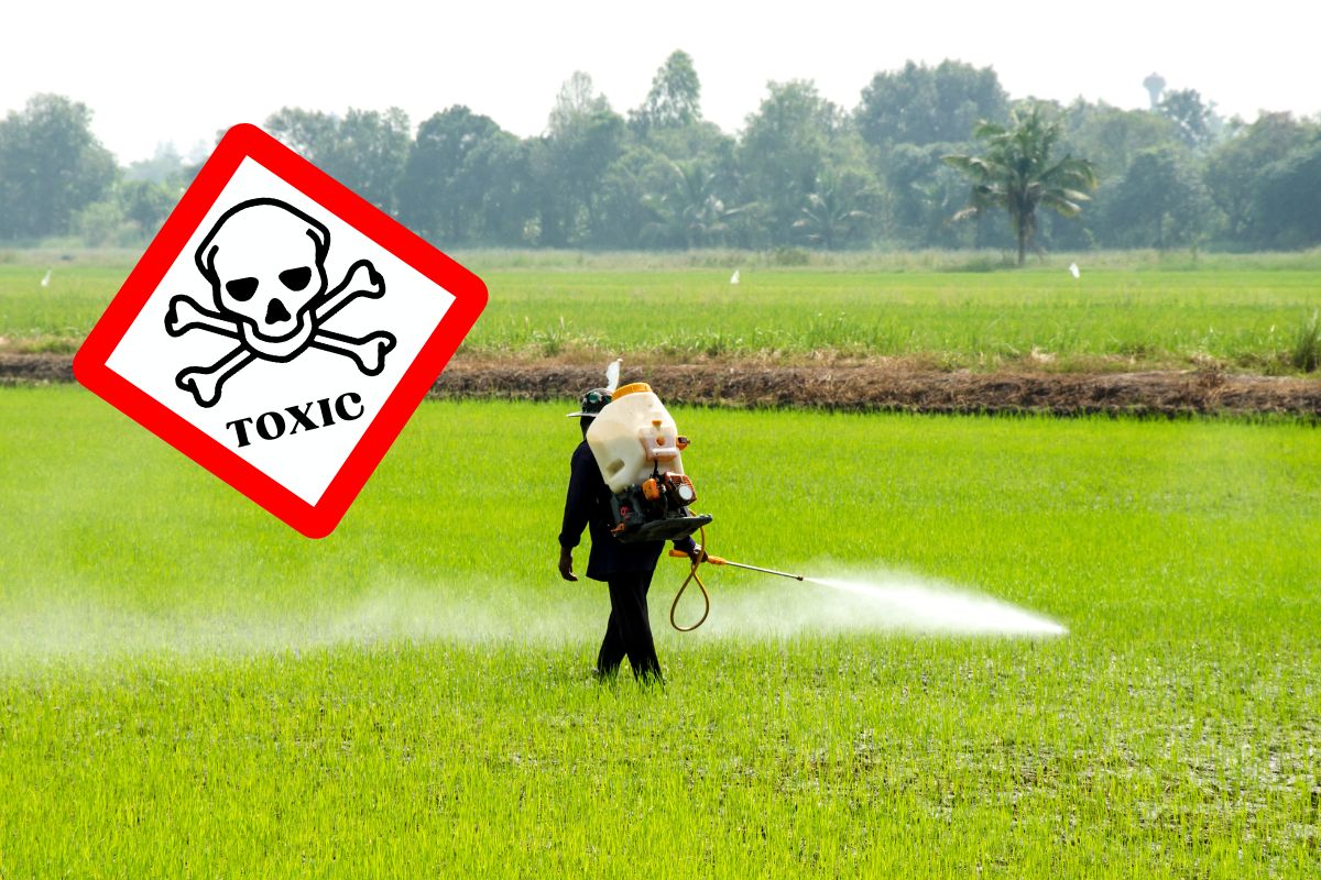 pesticidi tossici