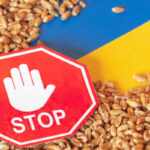 stop grano ucraina
