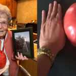 Sybil Gorby pomodori