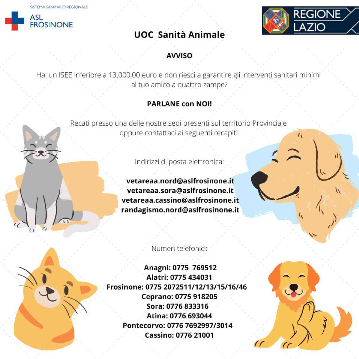 assistenza gratuita cani e gatti frosinone