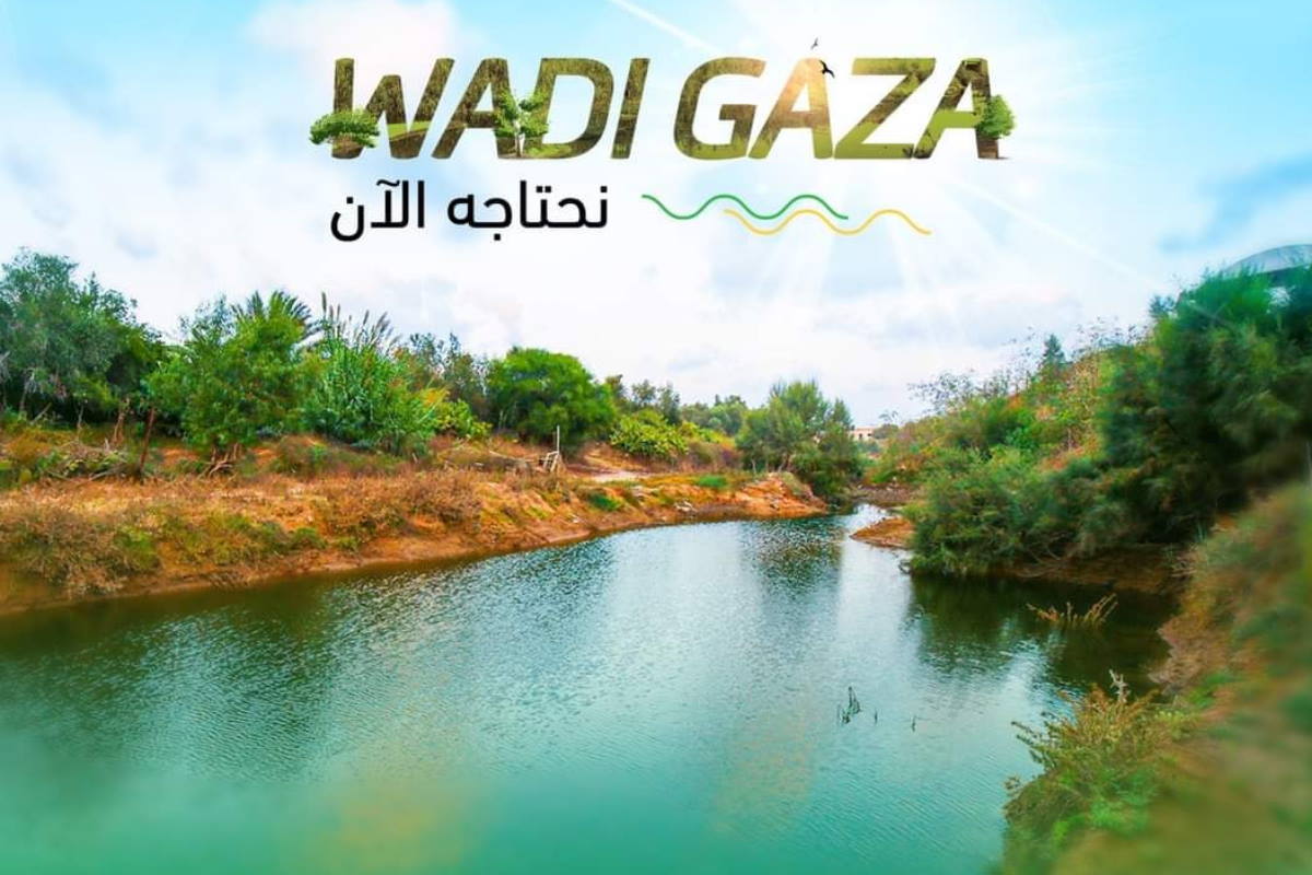 wadi gaza