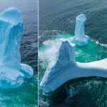 Iceberg fallico
