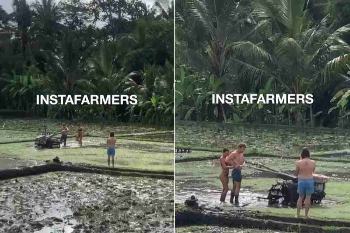 Influencer agricoltori