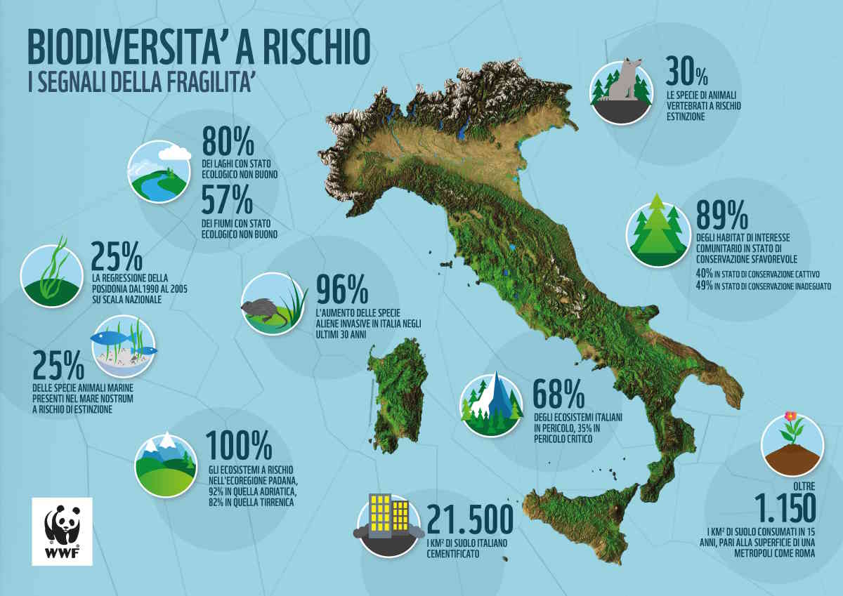biodiversità rischio italia