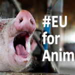 eu for animals