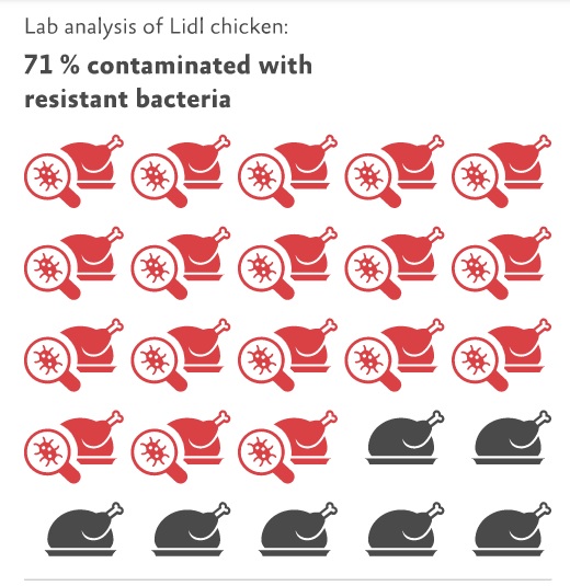 polli contaminati lidl germania infografica