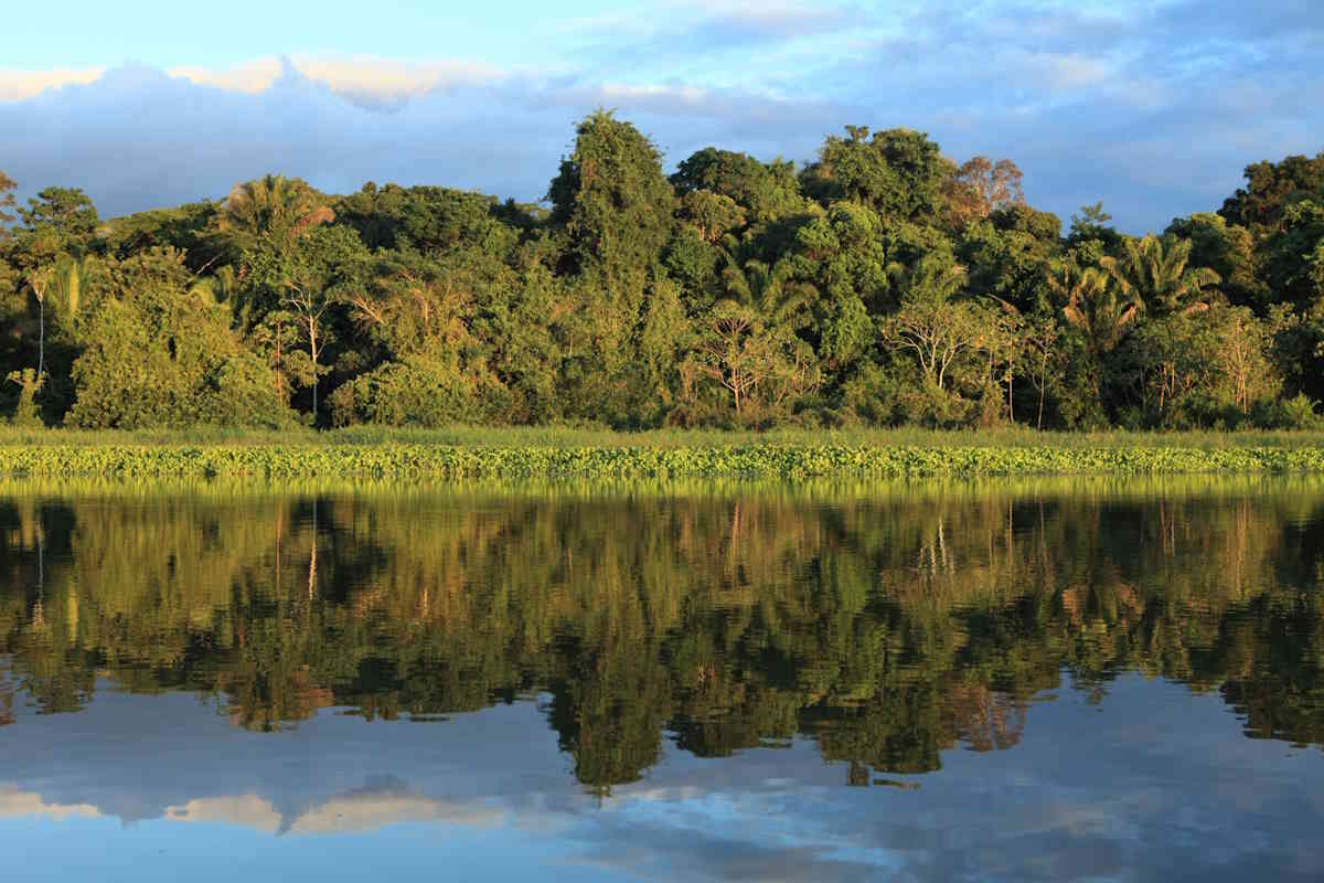 Brasile amazzonia fiume