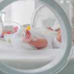 Cane salva neonata