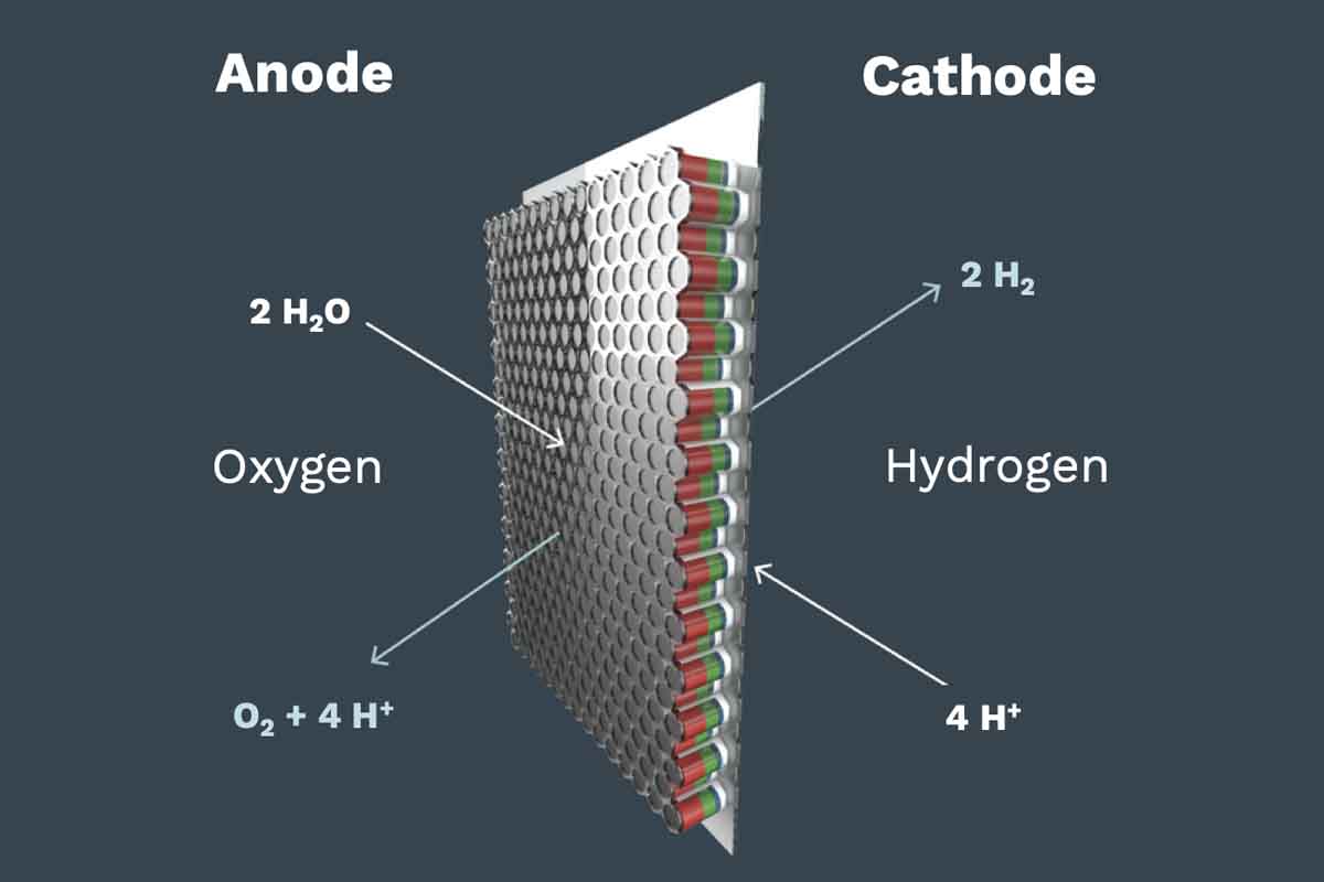 SunHydrogen pannello solare genera idrogeno