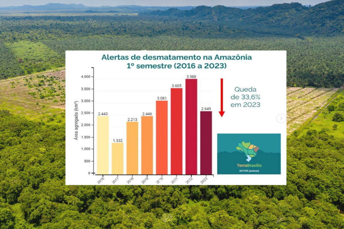deforestazione amazzonia 2023