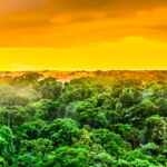 Foresta Amazzonica Brasile