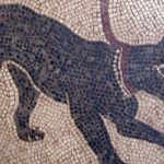 cane mosaico
