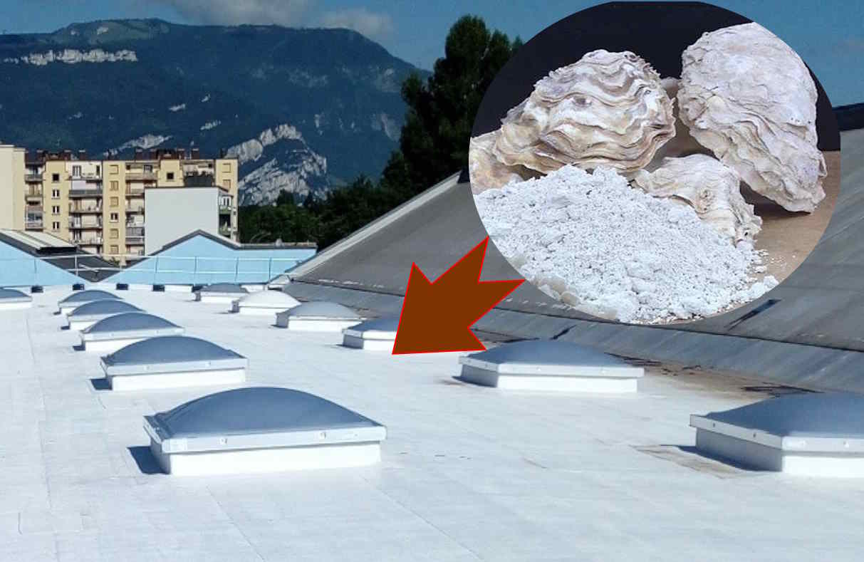 tetti bianchi ostriche