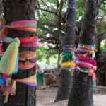 alberi thailandia di Nang Ta-khian