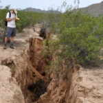 crepe in arizona