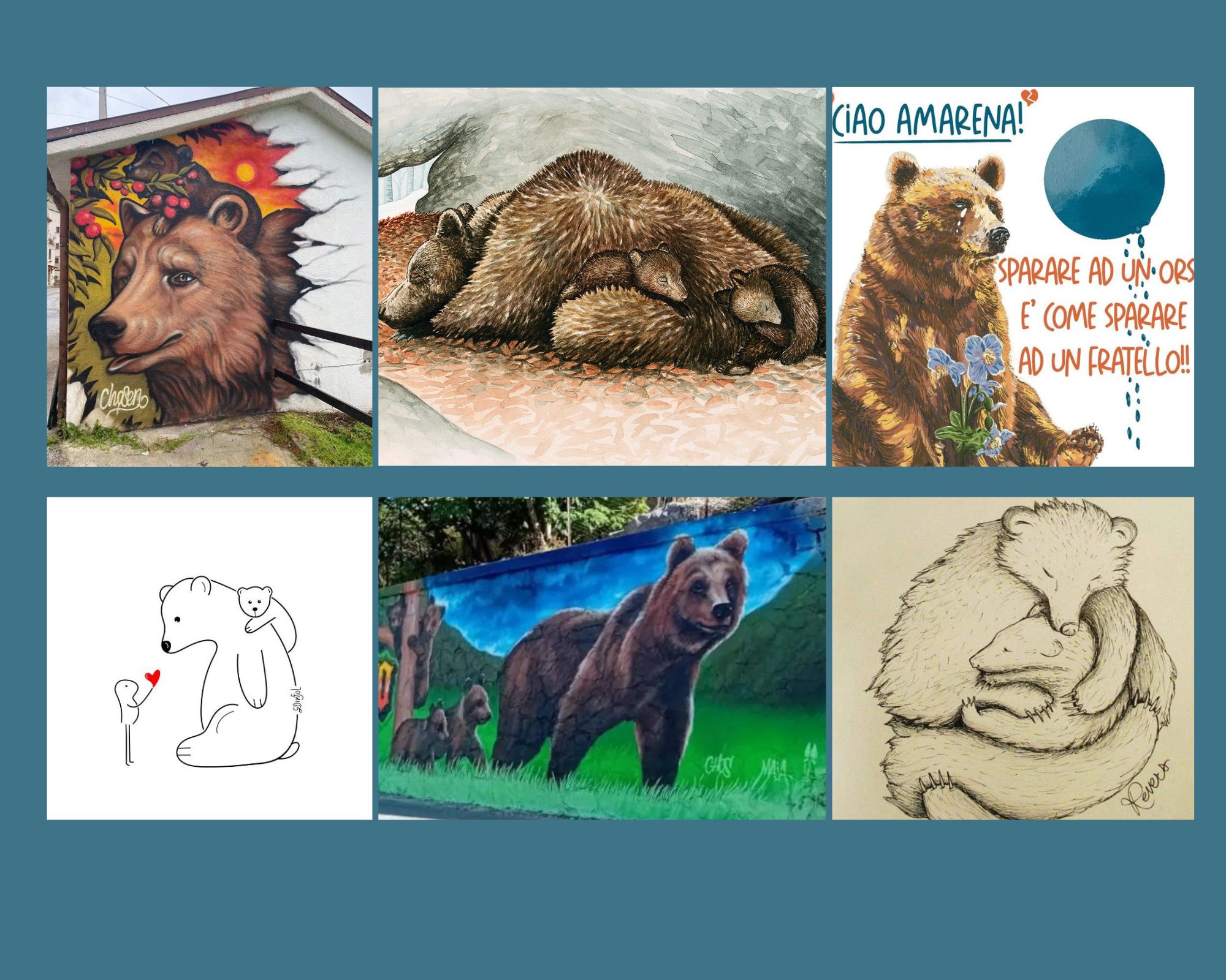 illustrazioni orsa amarena