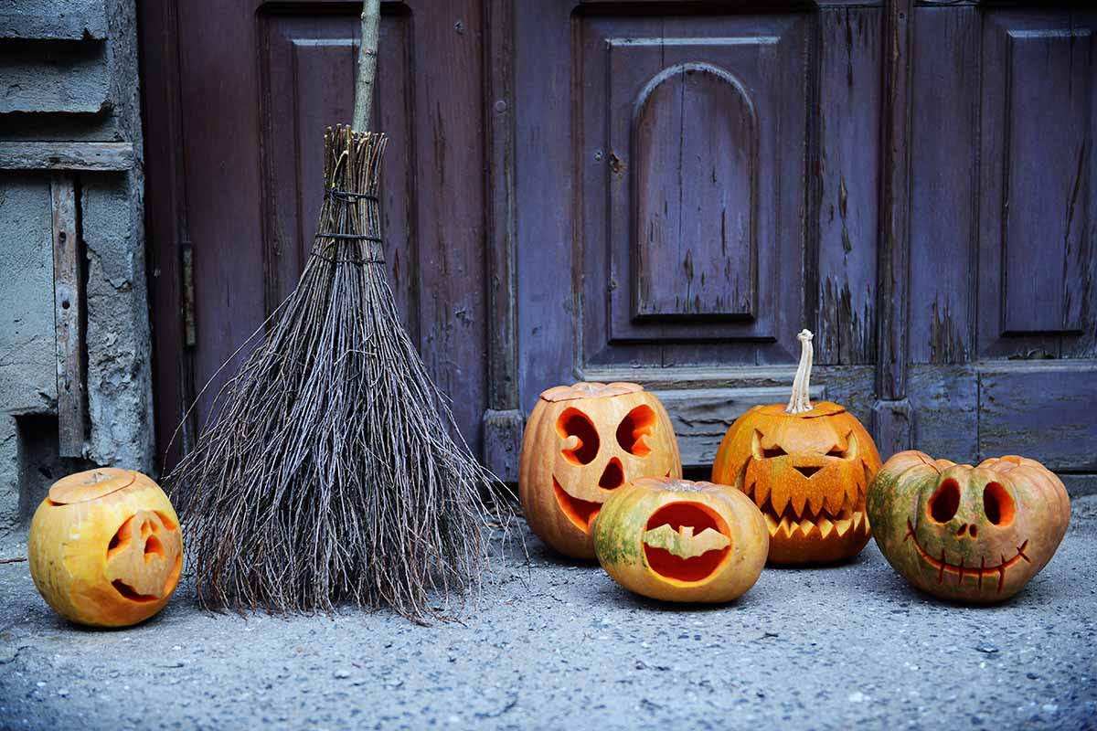 Scope da strega fai da te: scopri come realizzarle e utilizzarle per decorare casa ad Halloween - greenMe  --- (Fonte immagine: https://www.greenme.it/wp-content/uploads/2023/09/scope-strega.jpg)