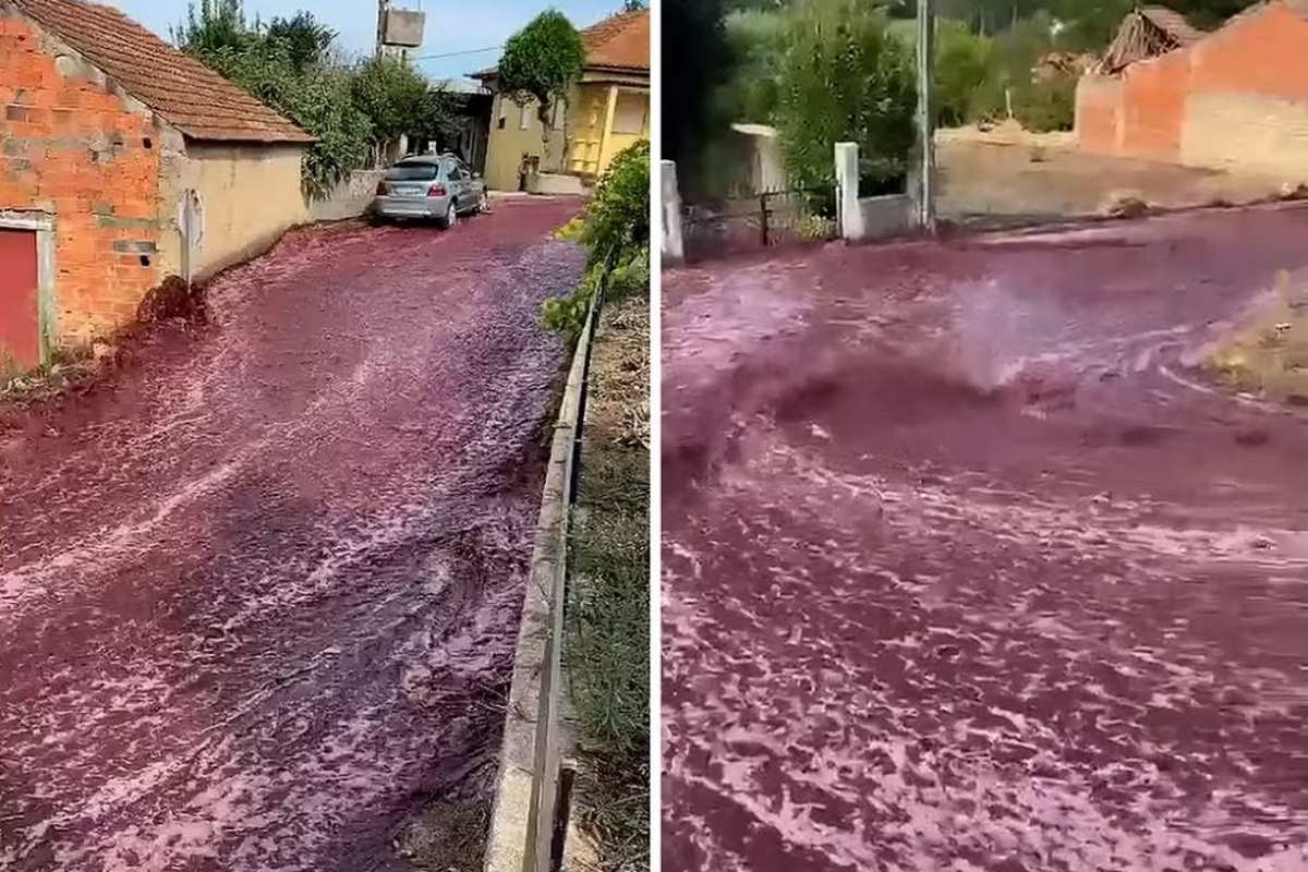 inondazione di vino rosso
