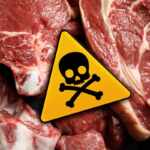 carne avvertenze