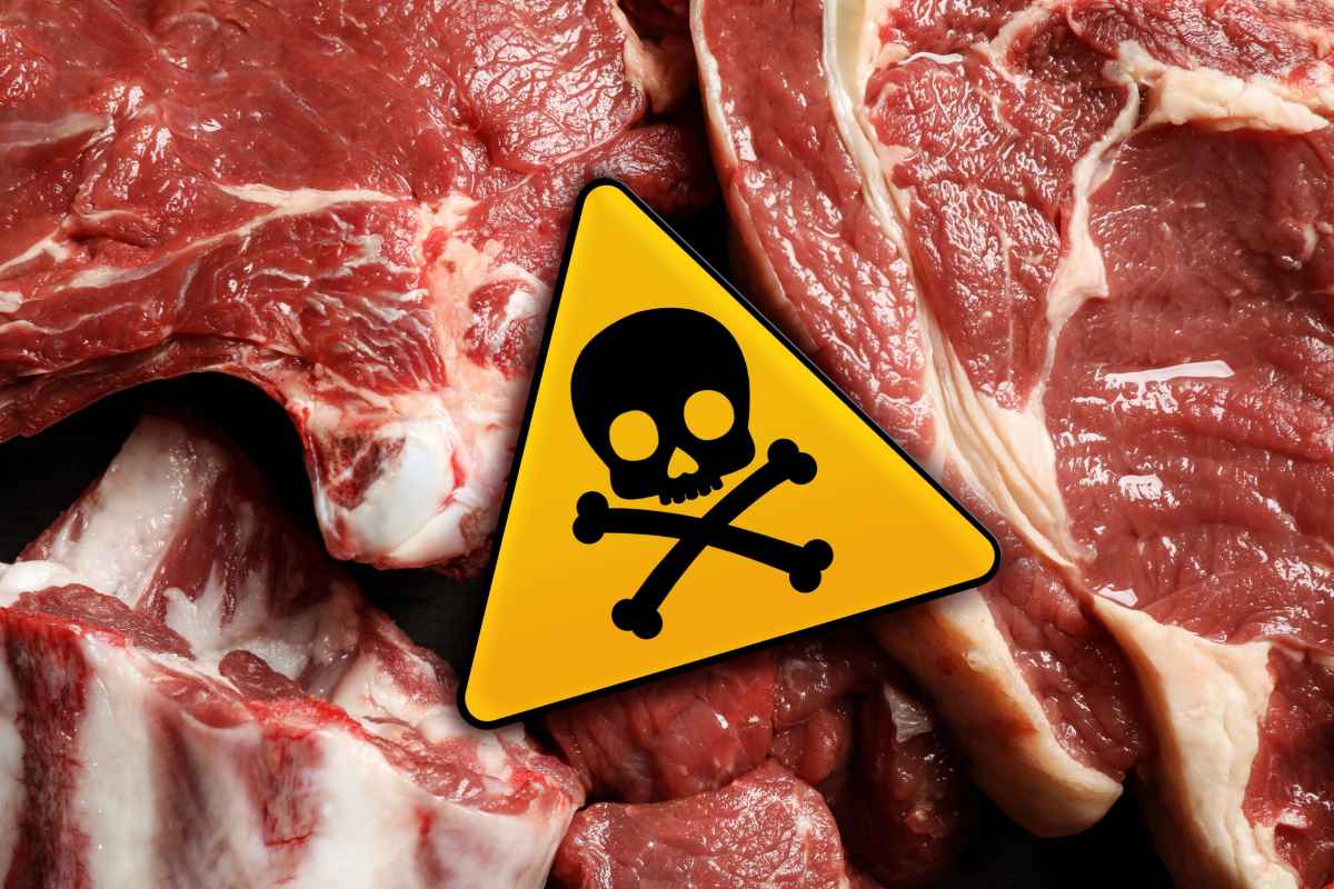 carne avvertenze