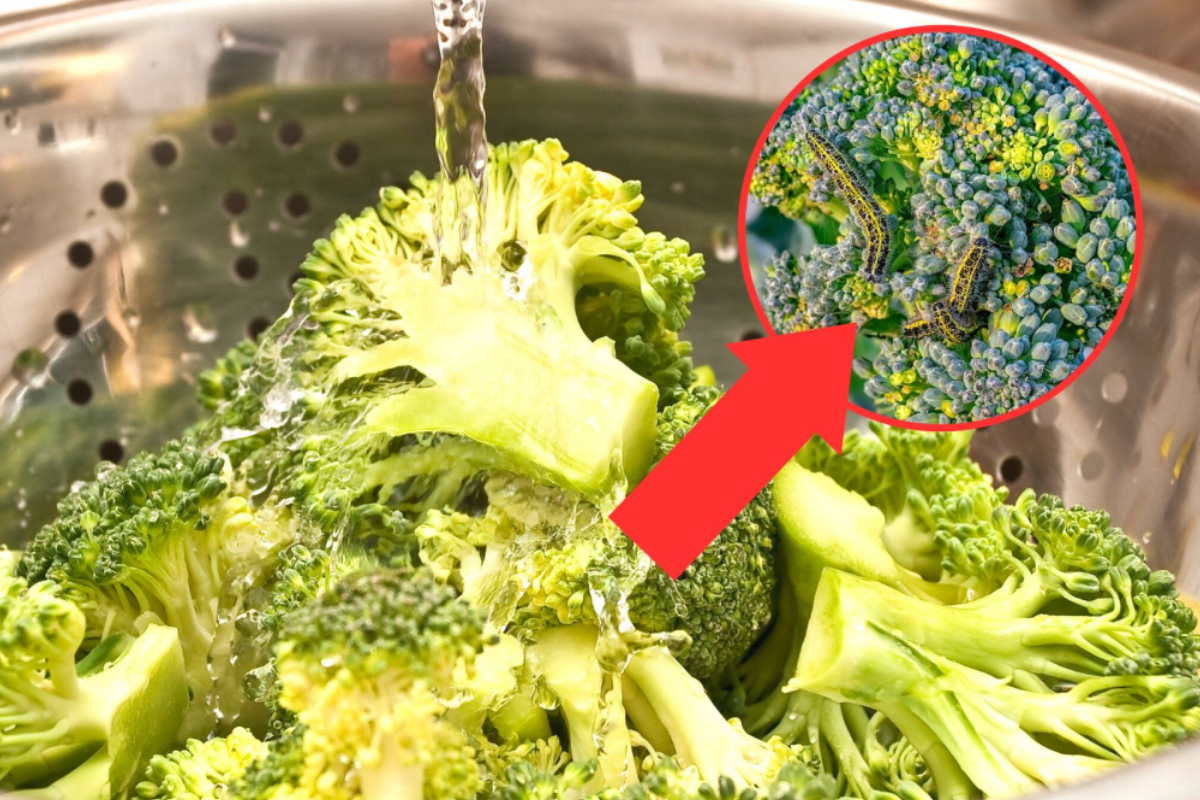 rimuovere vermi dai broccoli
