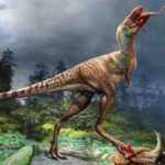 Gorgosaurus libratus tirannosauro pasto