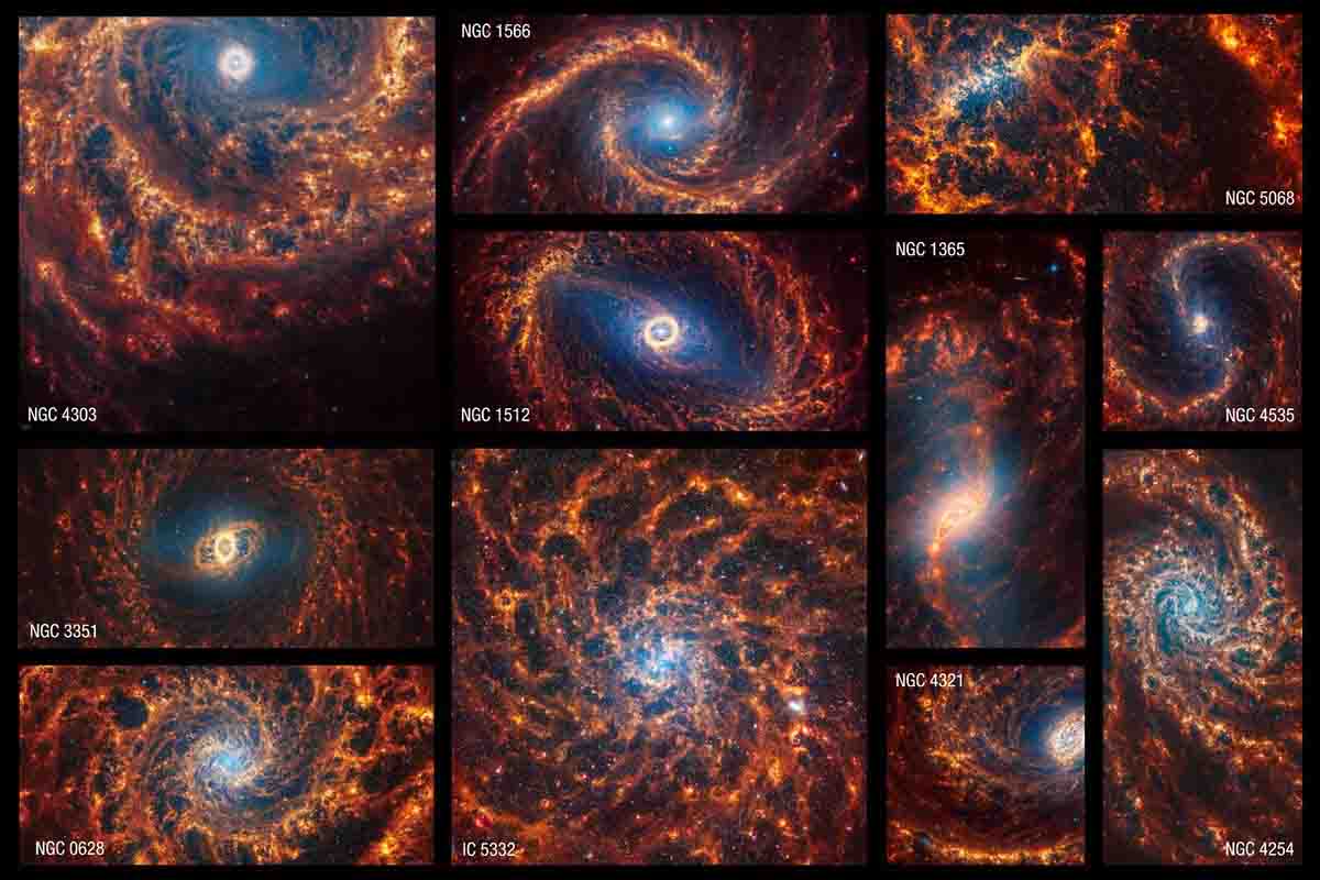 JWST 19 galassie a spirale