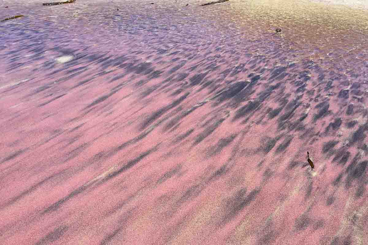 Sabbia viola Pfeiffer Beach, Big Sur CA