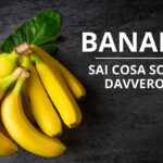 le banane sono bacche