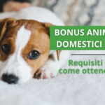 bonus animali domestici 2024
