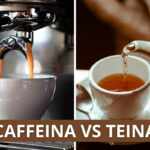 caffeina vs teina