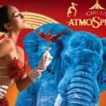 circus atmopshere circo senza animali roma