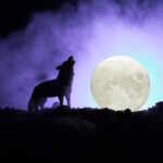 luna piena del lupo 25 gennaio 2024