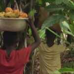 piantagioni cacao bambini Ghana