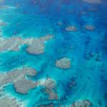 barriere coralline più lunghe del previsto