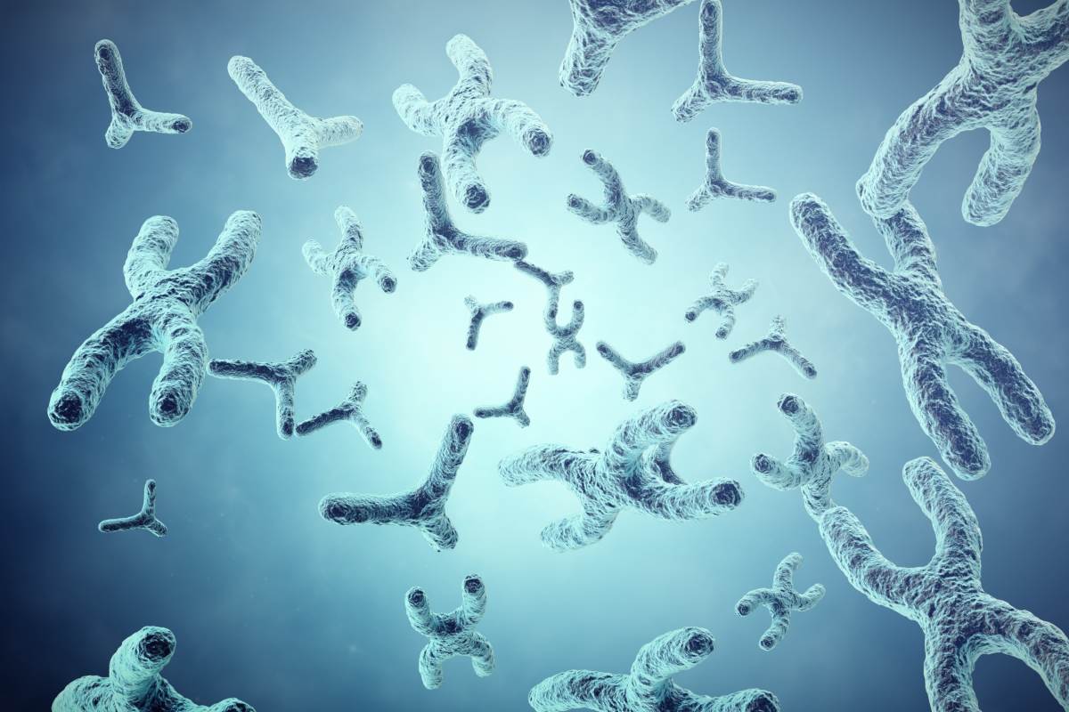 cromosomi dna