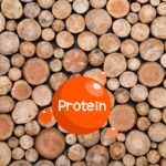legno proteine